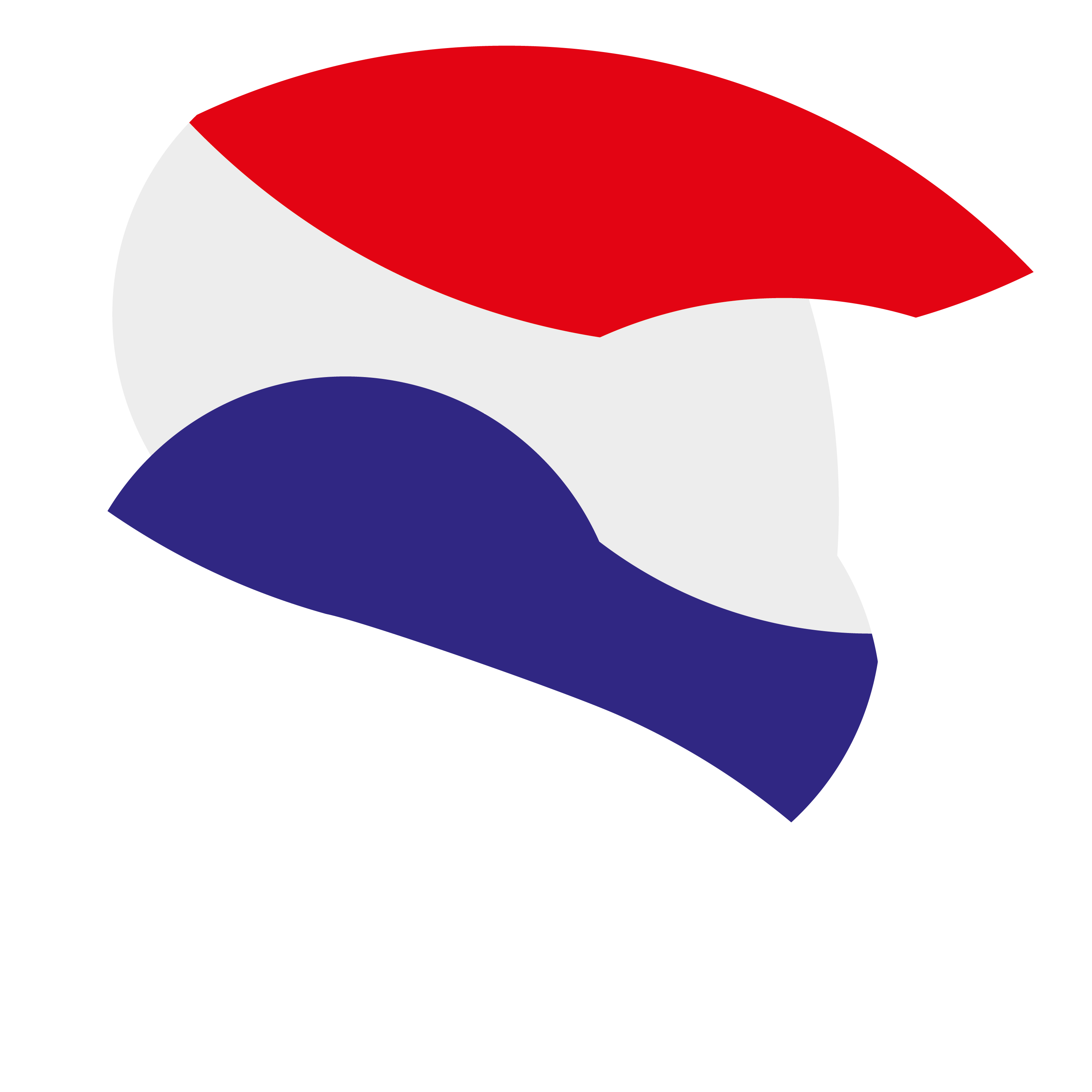 Logo Guaraní Riders